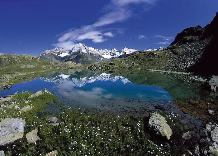 Dominic Зельден